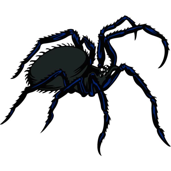 esspider003clr Thumbnail