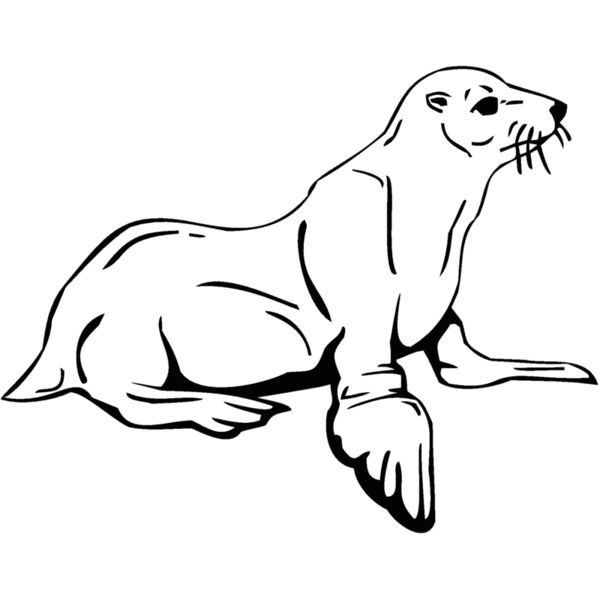 seal Thumbnail