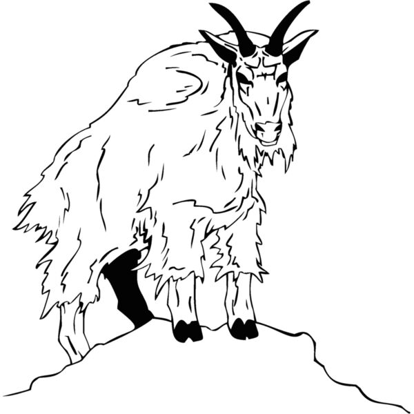 mountaingoat3 Thumbnail