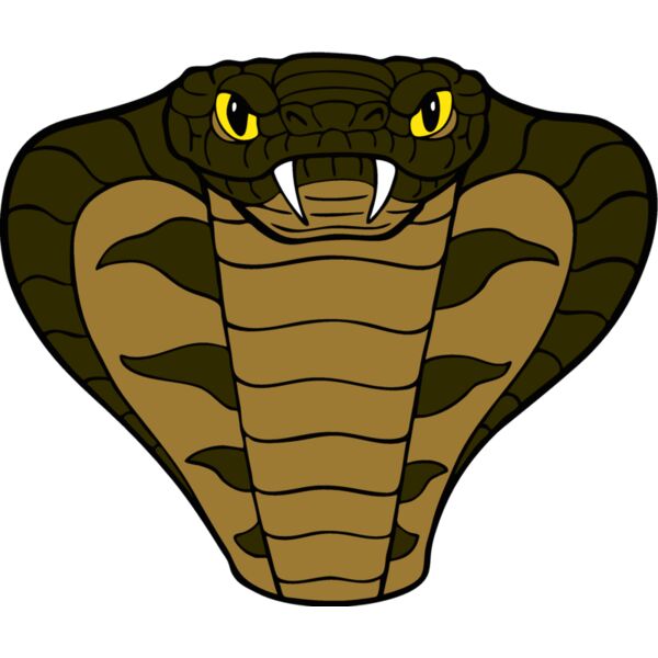 cobramscthd03 Thumbnail