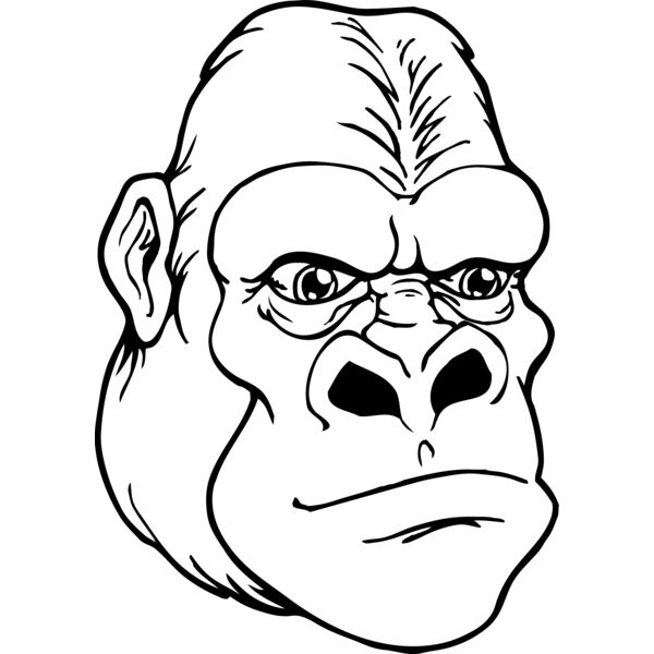 gorilla 14 Thumbnail