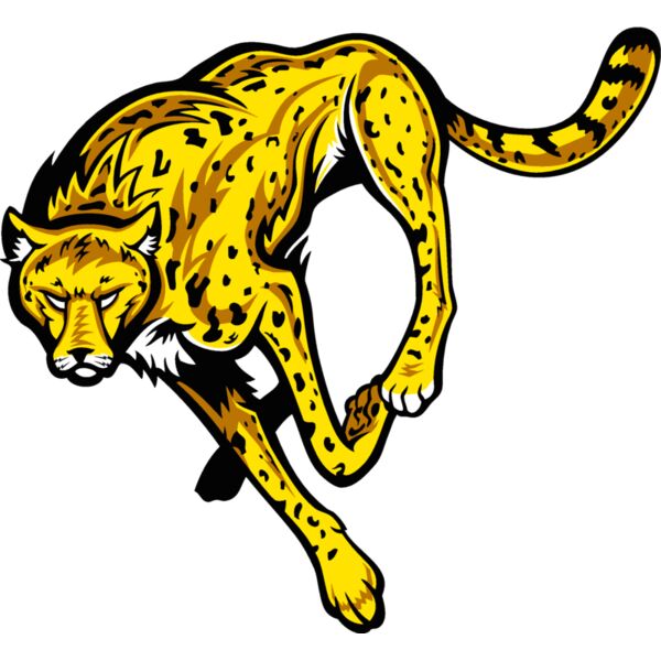 cheetahj021 Thumbnail