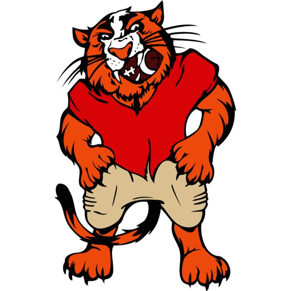 tiger05v4clr Thumbnail