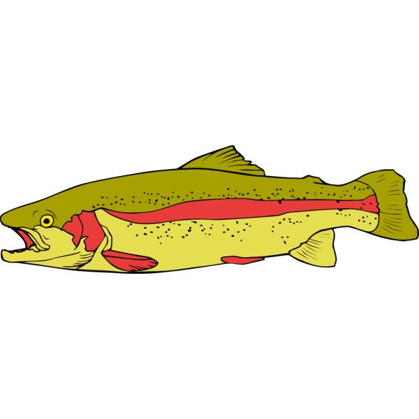 fish rainbowtrout02 Thumbnail