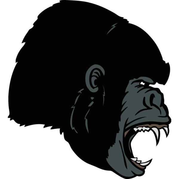 gorilla 20 Thumbnail
