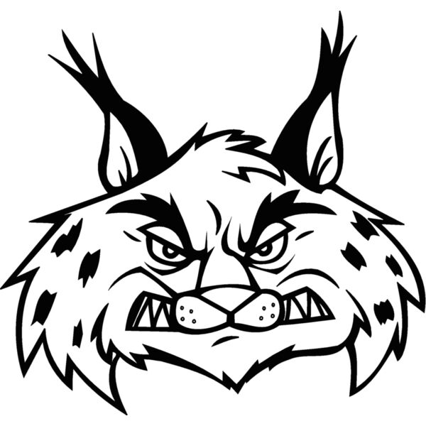 bobcathead03 Thumbnail