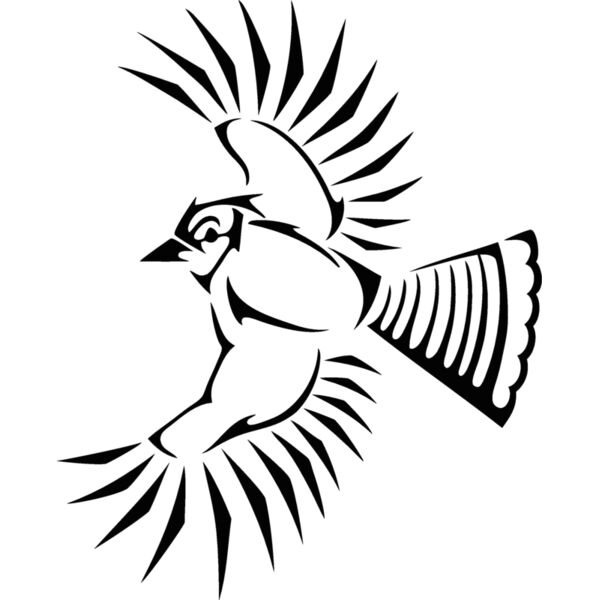 tribalbluejay Thumbnail