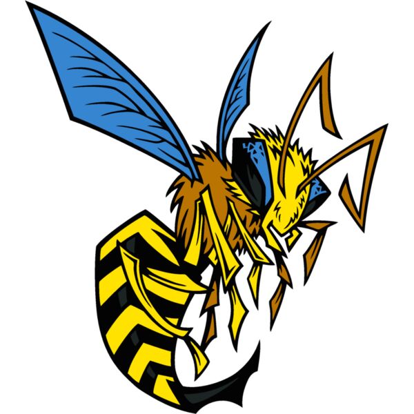 bee03v4clr Thumbnail